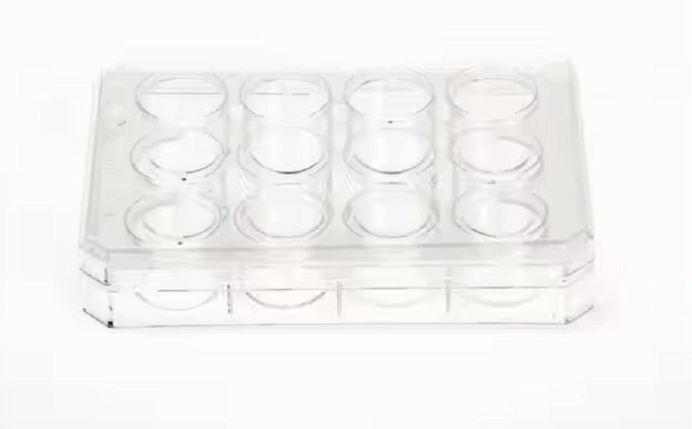 Nunc 150628 Cell-Culture Treated Multidishes, 12 Well Q=39