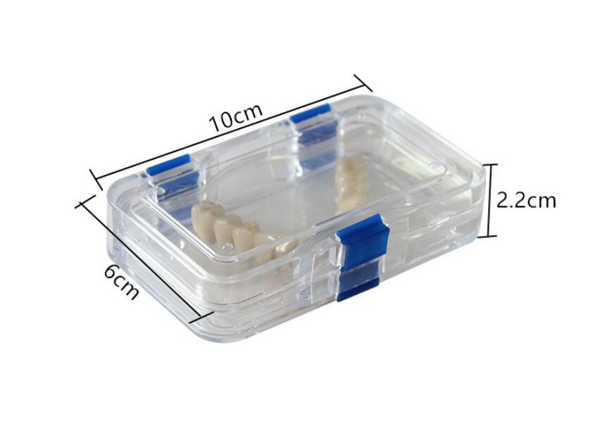 Denture False Inlay Teeth Membrane Case Hinged Display Jewelry Box Fragile Optic