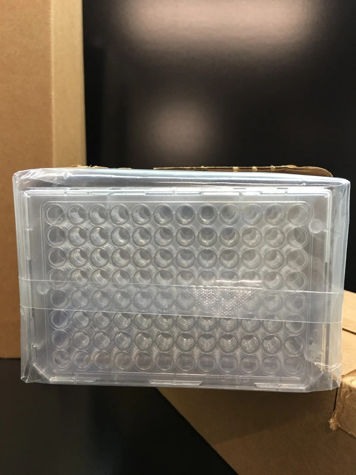 Thermo Scientific Nunc Cell Culture Treated Multidishes Deep Well Plate Lot 4PKS