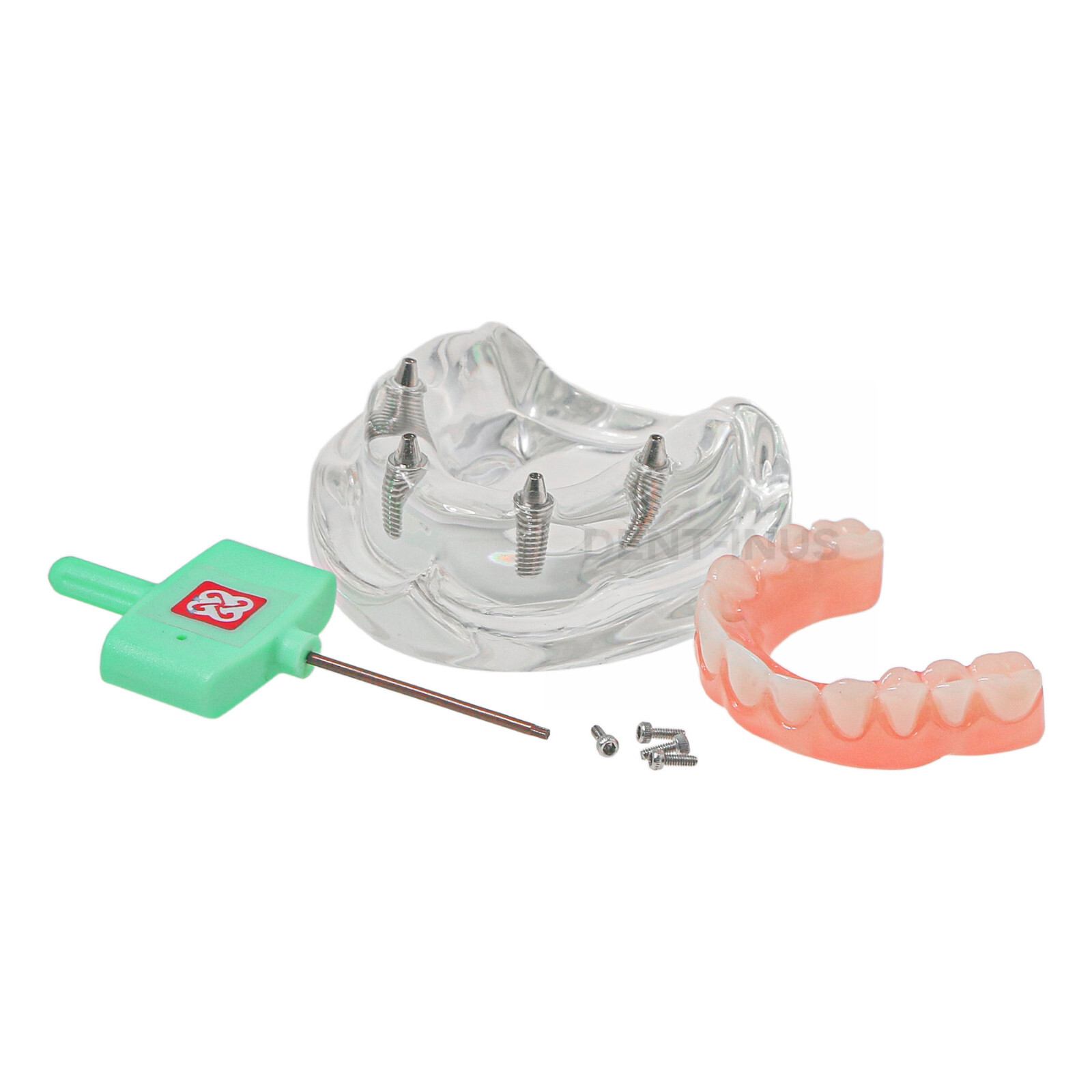Dental 4 Implants Demo Implant Teeth Model Restoration Overdenture Upper/Lower