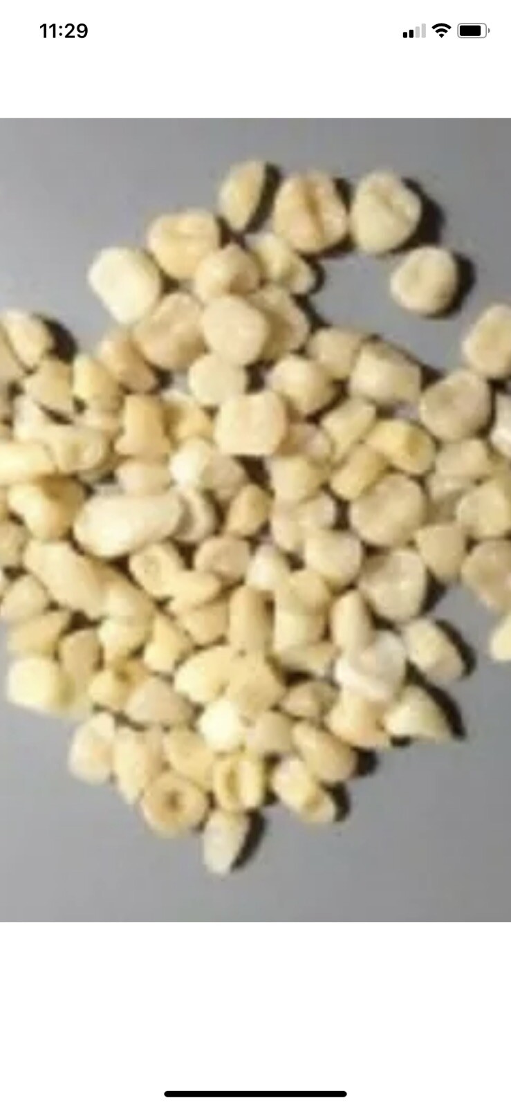 BAG OF 50 LOOSE TEETH OF DIFFERENT SIZES AND SHADES