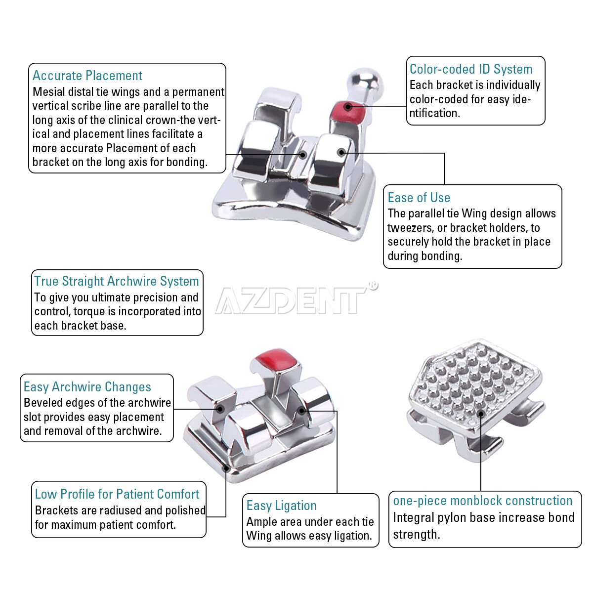 Dental Orthodontic Brackets Braces/Super Elastic Niti Arch Wire Ovoid Form