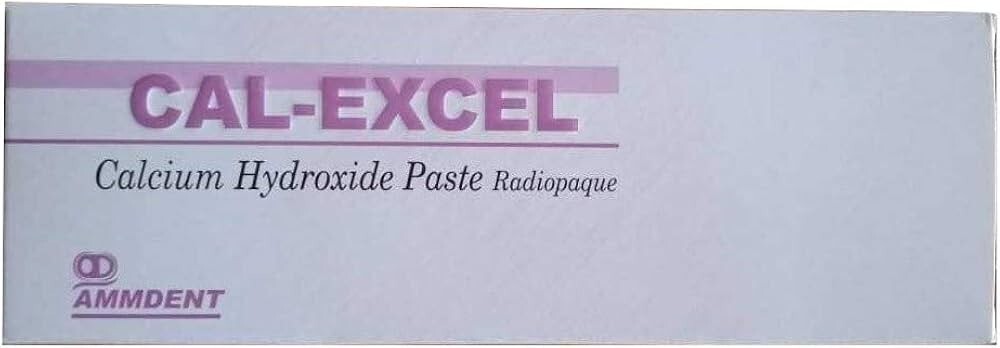 Ammdent Cal Excel Calcium Hydroixide Paste Radiopaque Long Exp