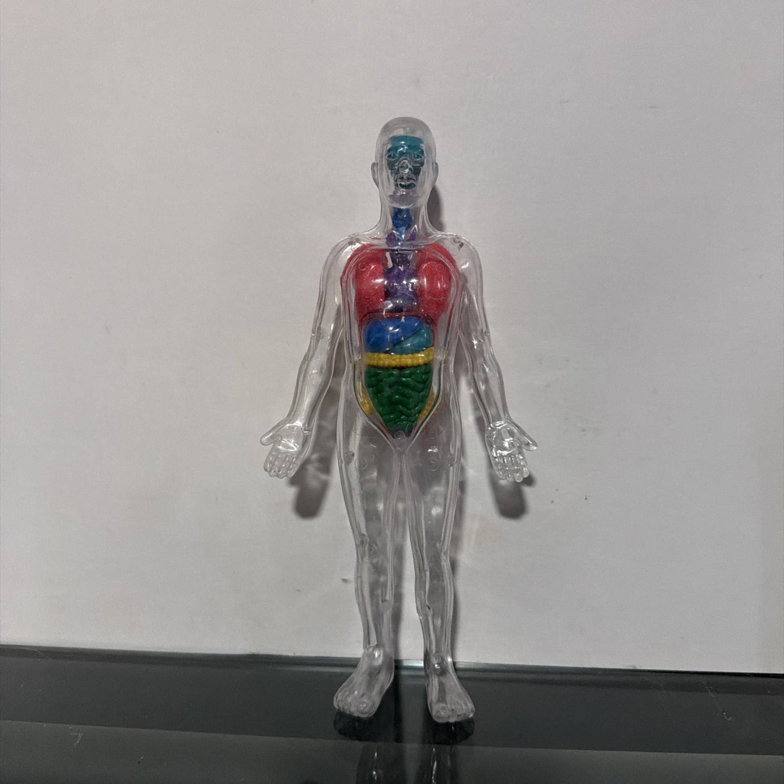 Invisible Man Human Body Anatomy Medical Doll 8” Figure w Organs Plastic