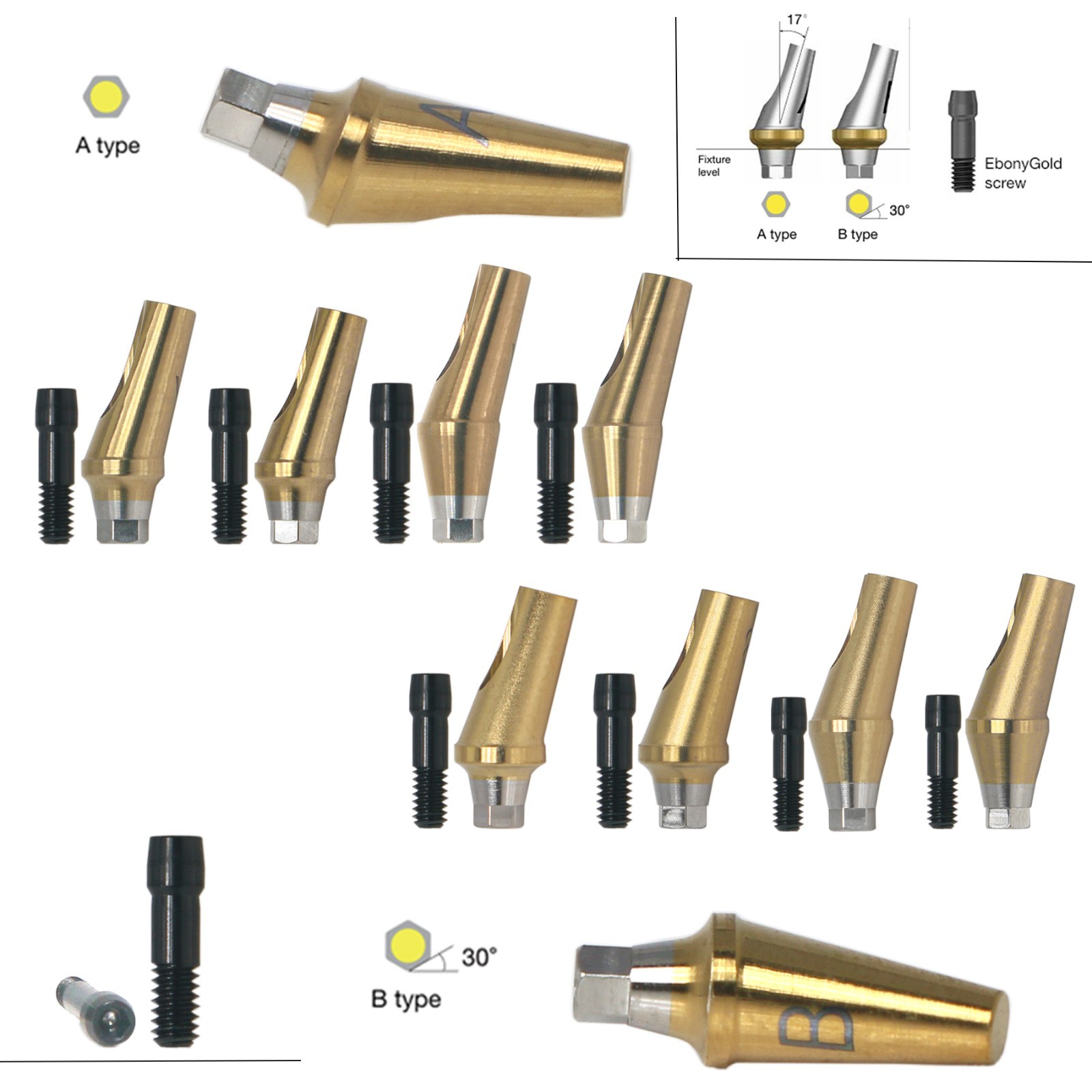 17° Dental Angled Anatomic Abutment For Hiossen Mini/Regular Platform Osstem TS