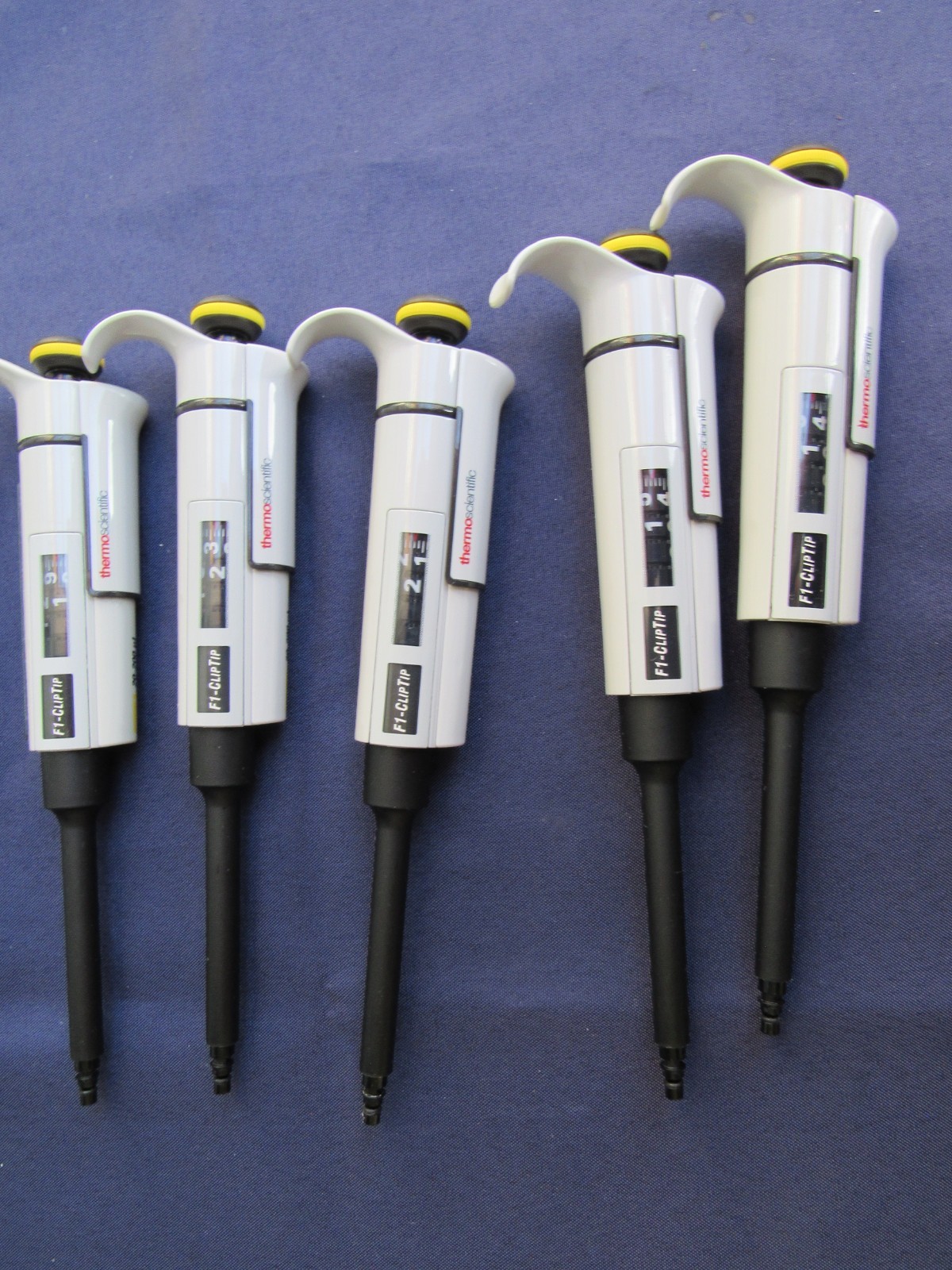 THERMO SCIENTIFIC ~ F1-CLIPTIP ~ 20-200 uL SINGLE CHANNEL PIPETTE