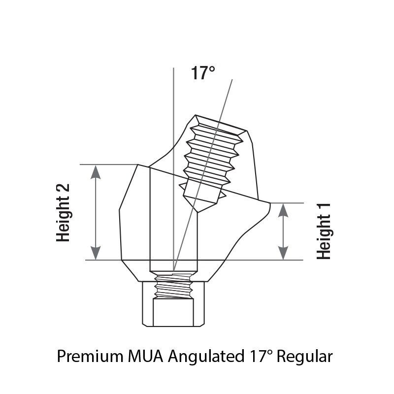 10x Dental DSI Angulated Abutment 17° Multi-Unit Premium 1.6m Internal Hex 2.42