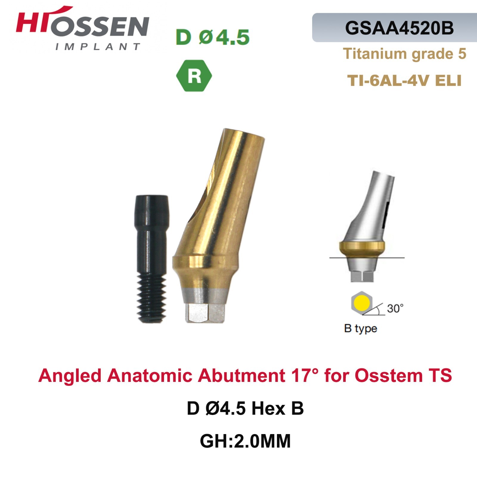 1X Fit Mini/Regular Angled Anatomic Abutment 17° Ti Dental Osstem/TS Hiossen/ET