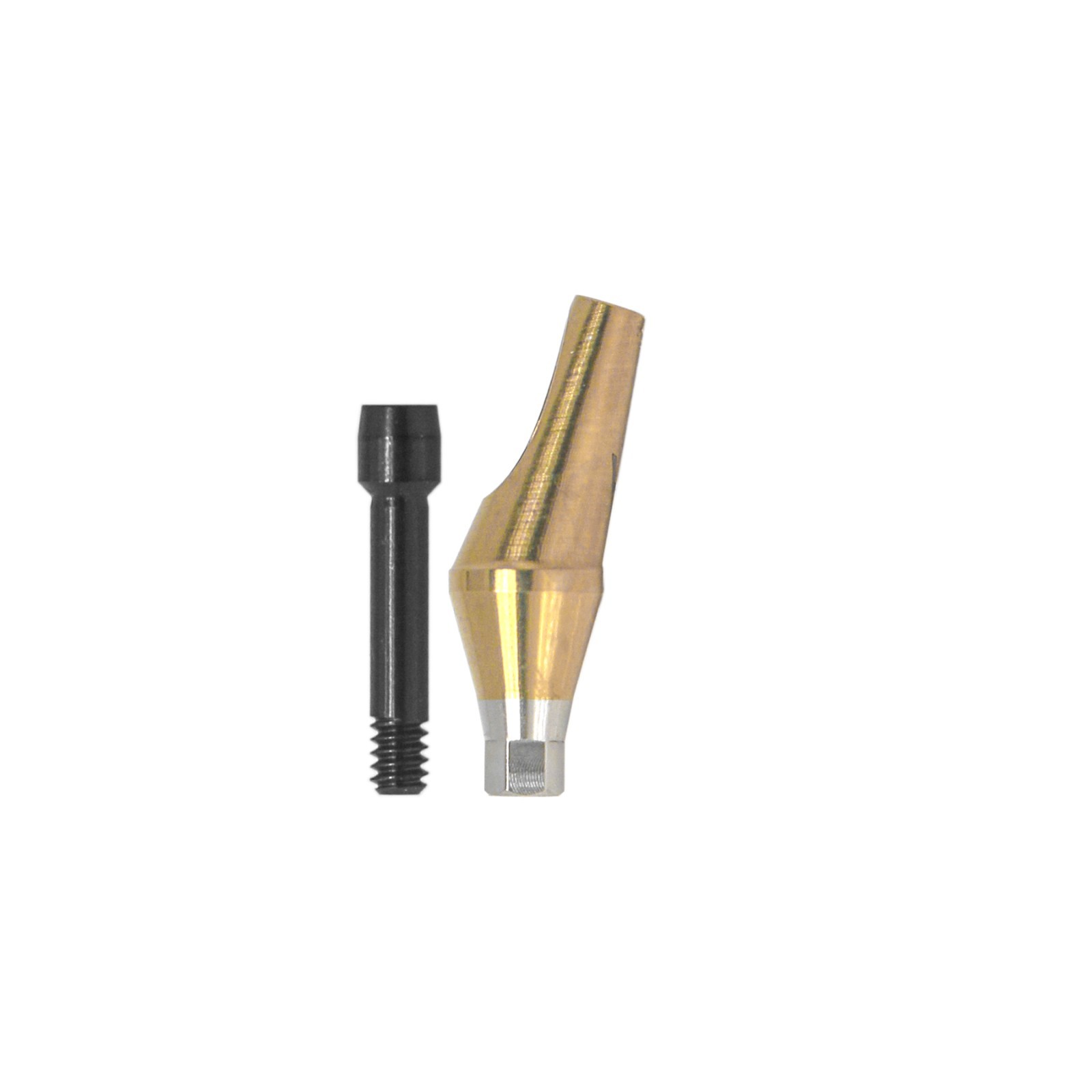 US Dental 17° Angled Anatomic Abutment Mini /Regular Fits Hiossen Osstem TS