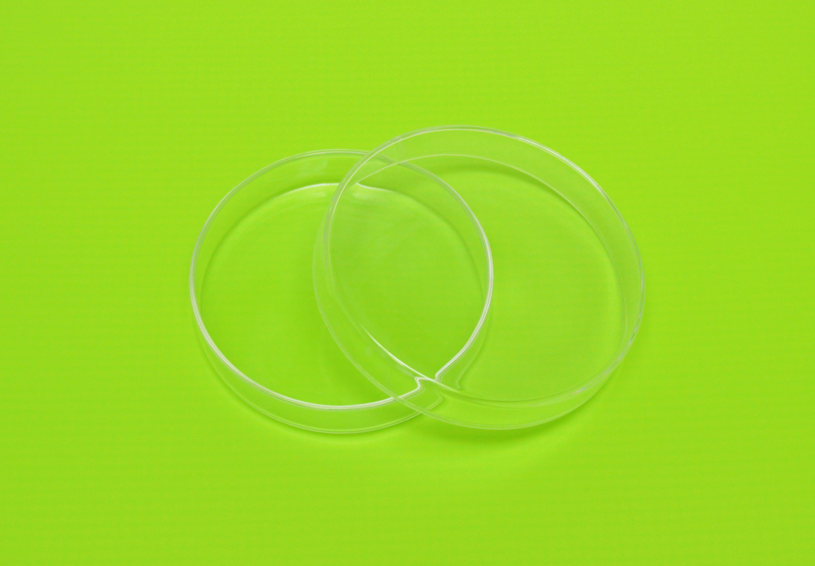 Petri Dish Borosilicate Glass Culture Tissue 100mm LAB Specimen NEW (SET of 10)