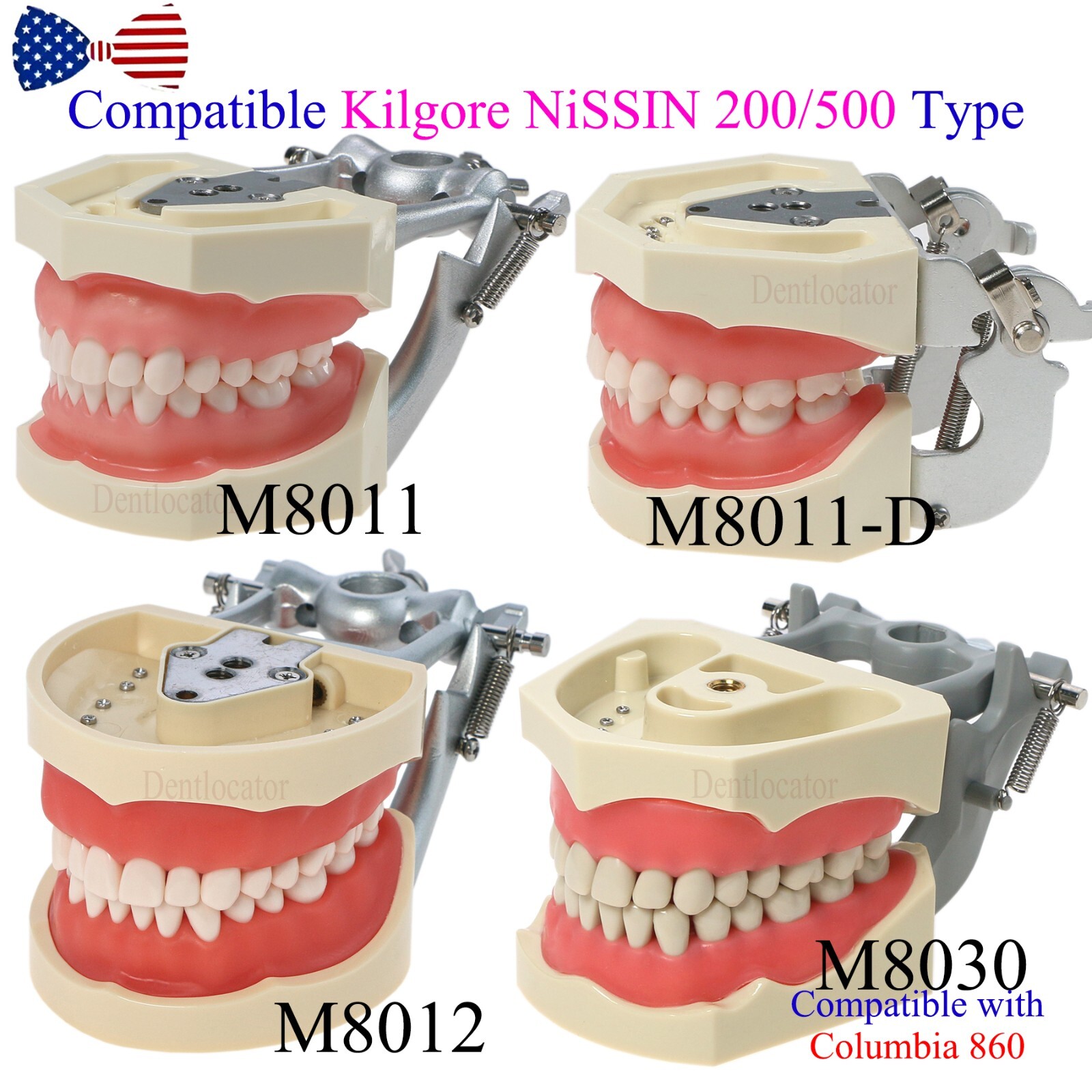 US Dental Typodont Teeth Models fit Kilgore NISSIN 200/500 Type & Columbia 860