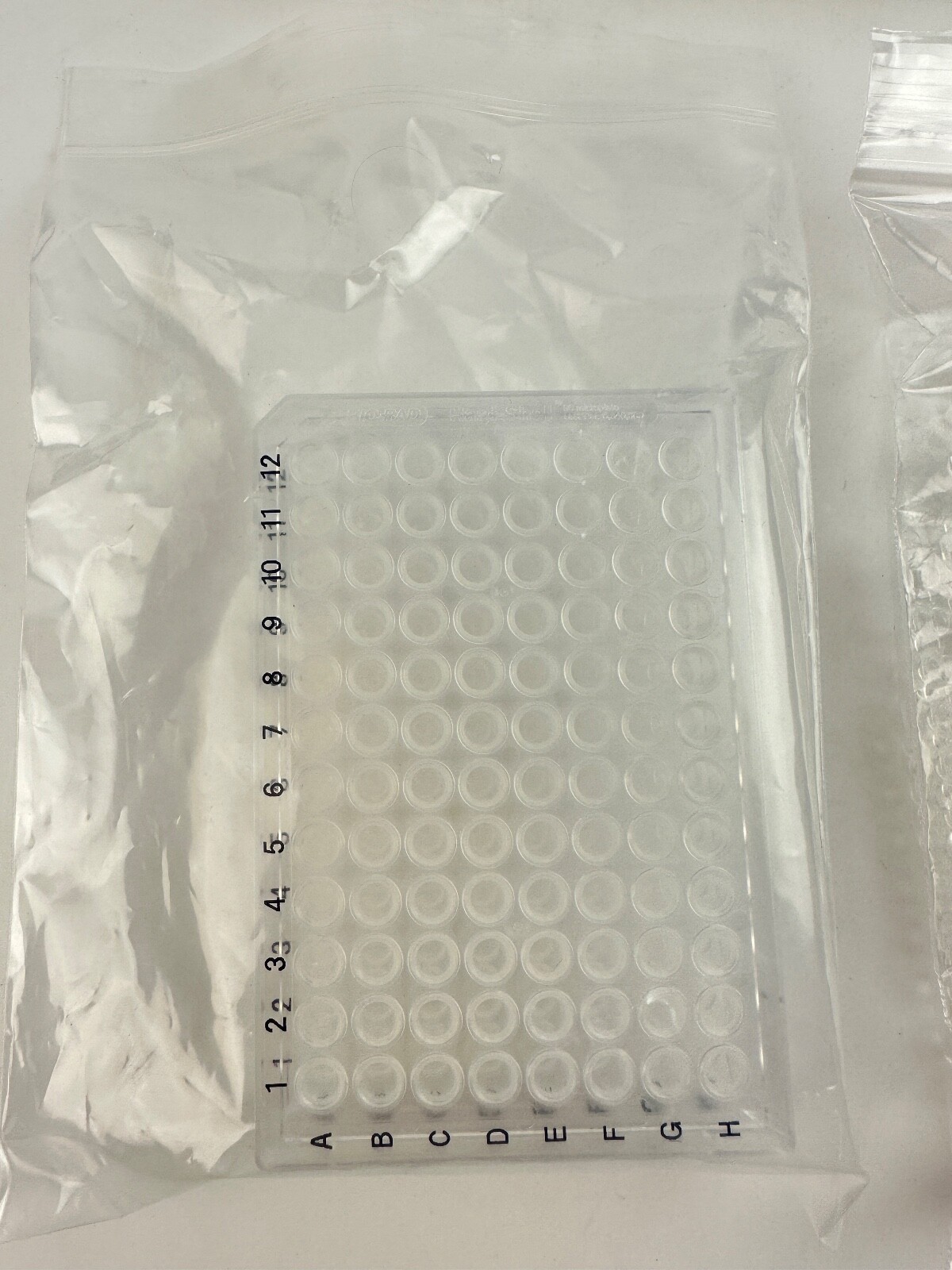 Axygen 0.2 mL Polypropylene PCR Tube Strips, PCR-0208-CP-C