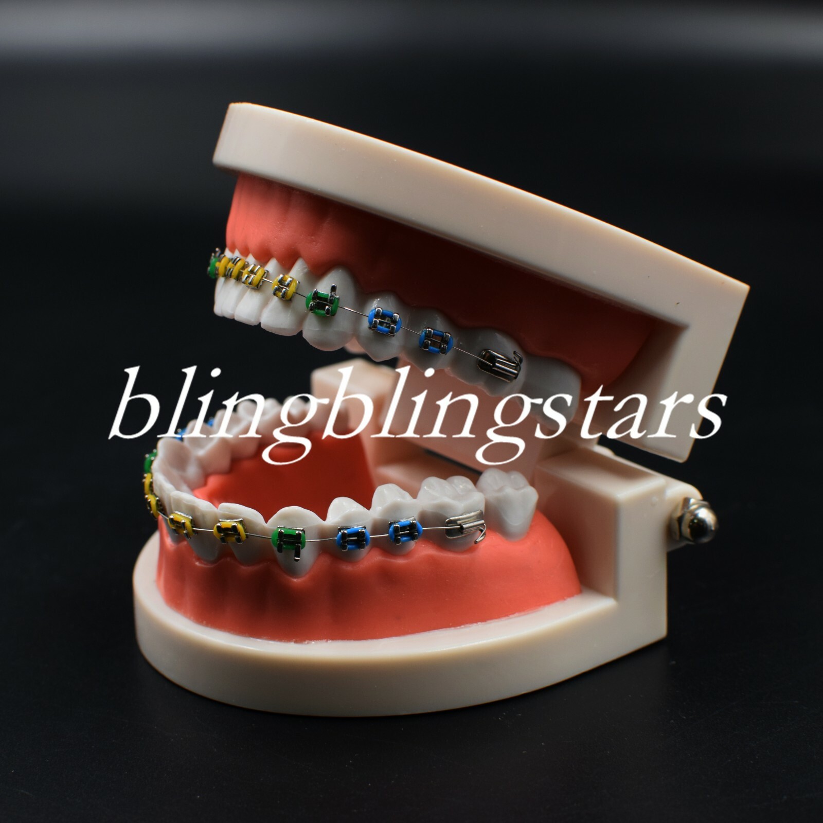 Dental Orthodontics Standard Tooth Model Bracket Ligature Buccal Tube Ties