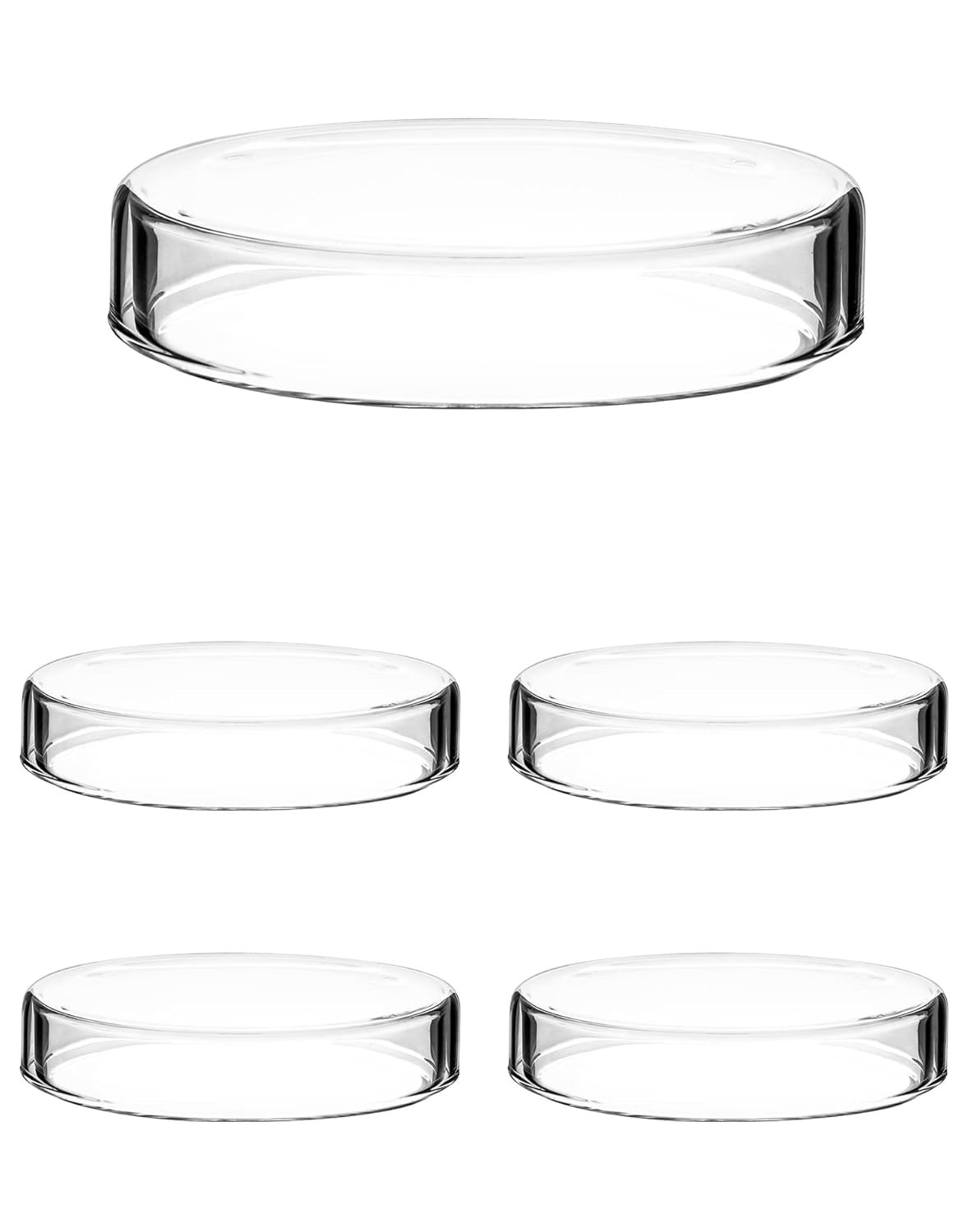 5-Pack Glass Petri Dishes 100mm x 23mm with Lids |Thick 3.3 Borosilicate Lab Set