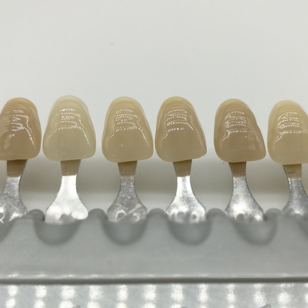 Plutusdental Shade Guide Porcelain Dental Dentist 1 Count (Pack of 1)