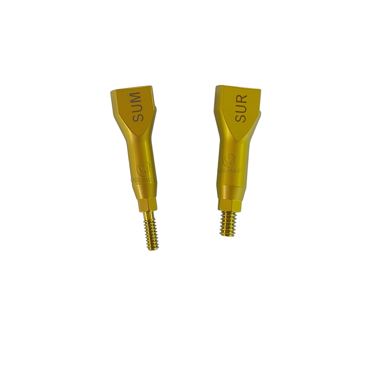 10pcs Hiossen Osstem GS/TS compatible Dental Scan Body cad/cam Mini Regular
