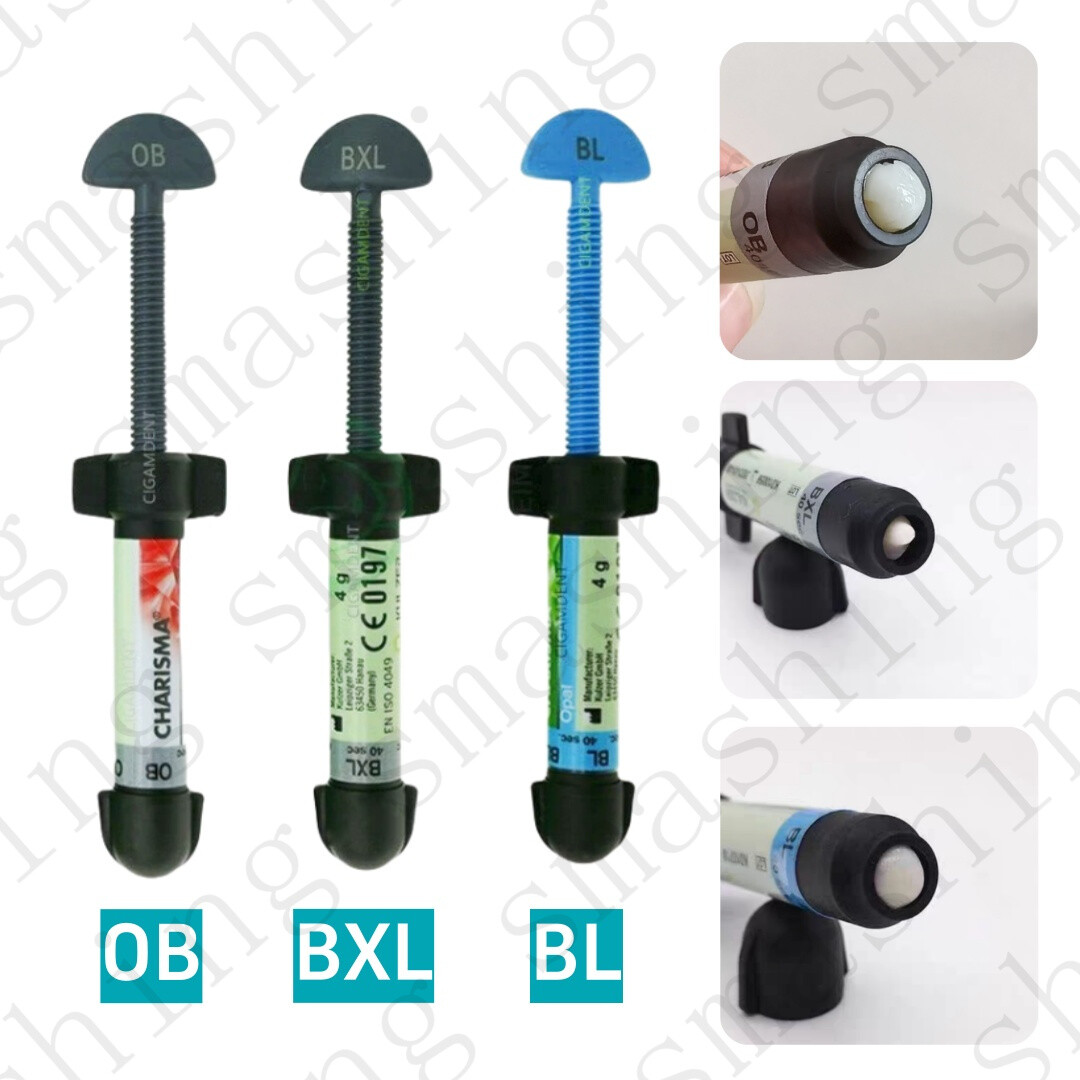 Dental KULZER CHARISMA Composite Resin Diamond Bleach White Light Cure BL BXL OB