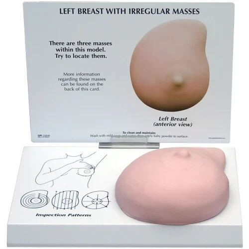 ZX-1406 Female Breast Model (Made in India)