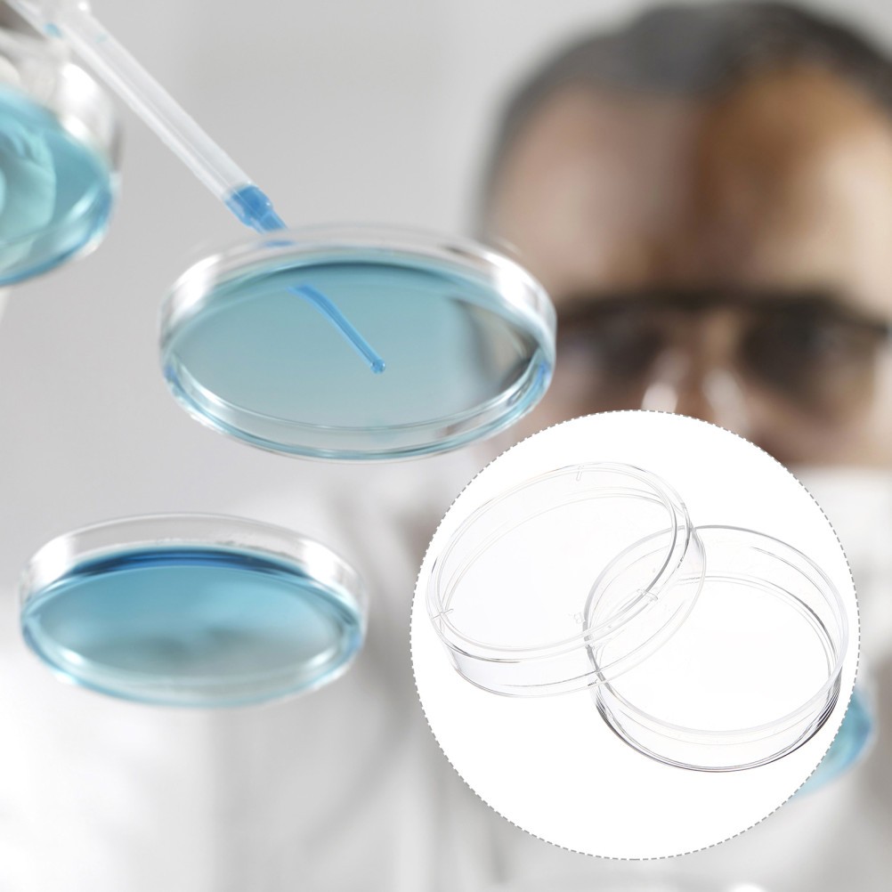Set of 2 Lab Science Experiment Clear 150mm Petiri Dish Plate Equipment