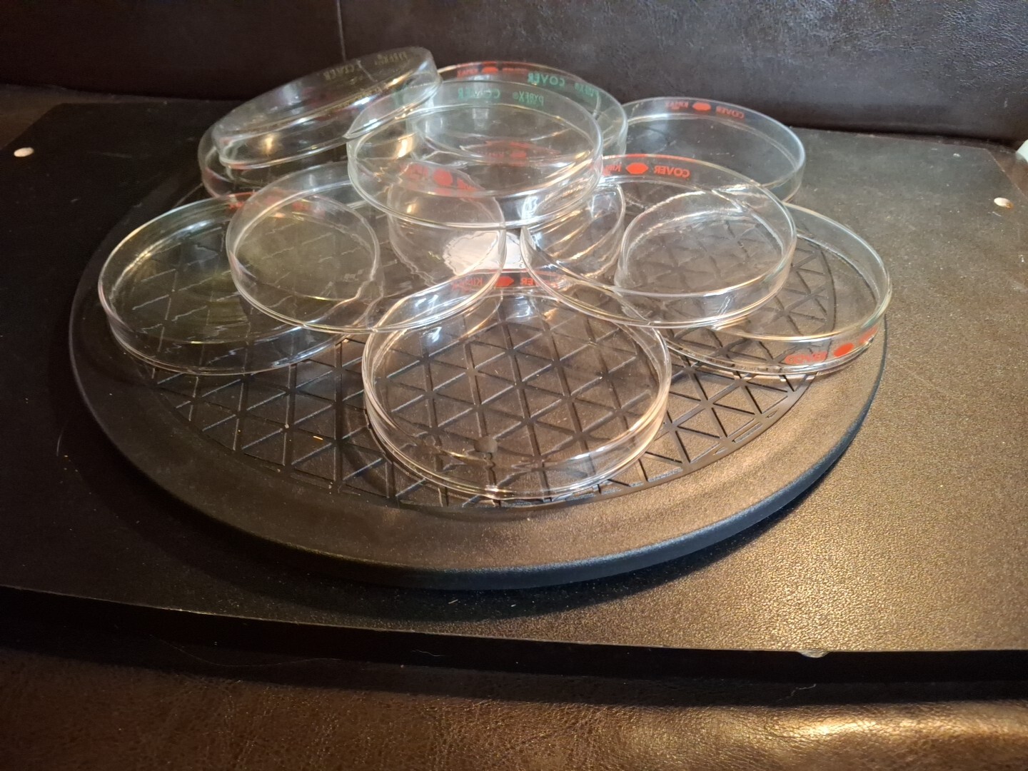 Kimax / Pyrex Petri Dishes 100mm x 15mm Set – 12 Covers and 12 Bottoms