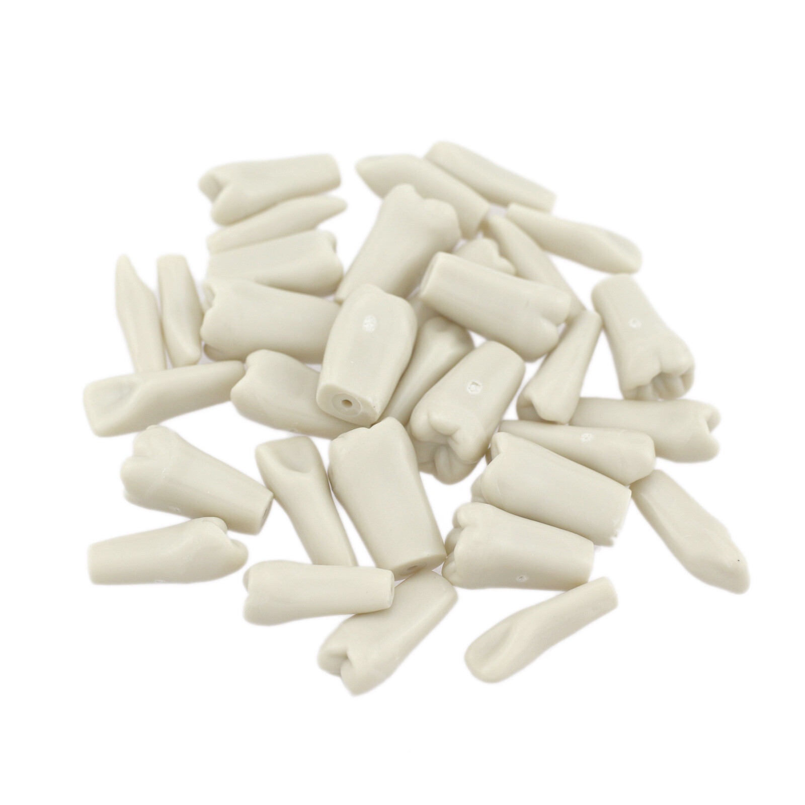 Dental Columbia 860 Style Typodont Model Mounting Pole Replacement Teeth 32 Pcs