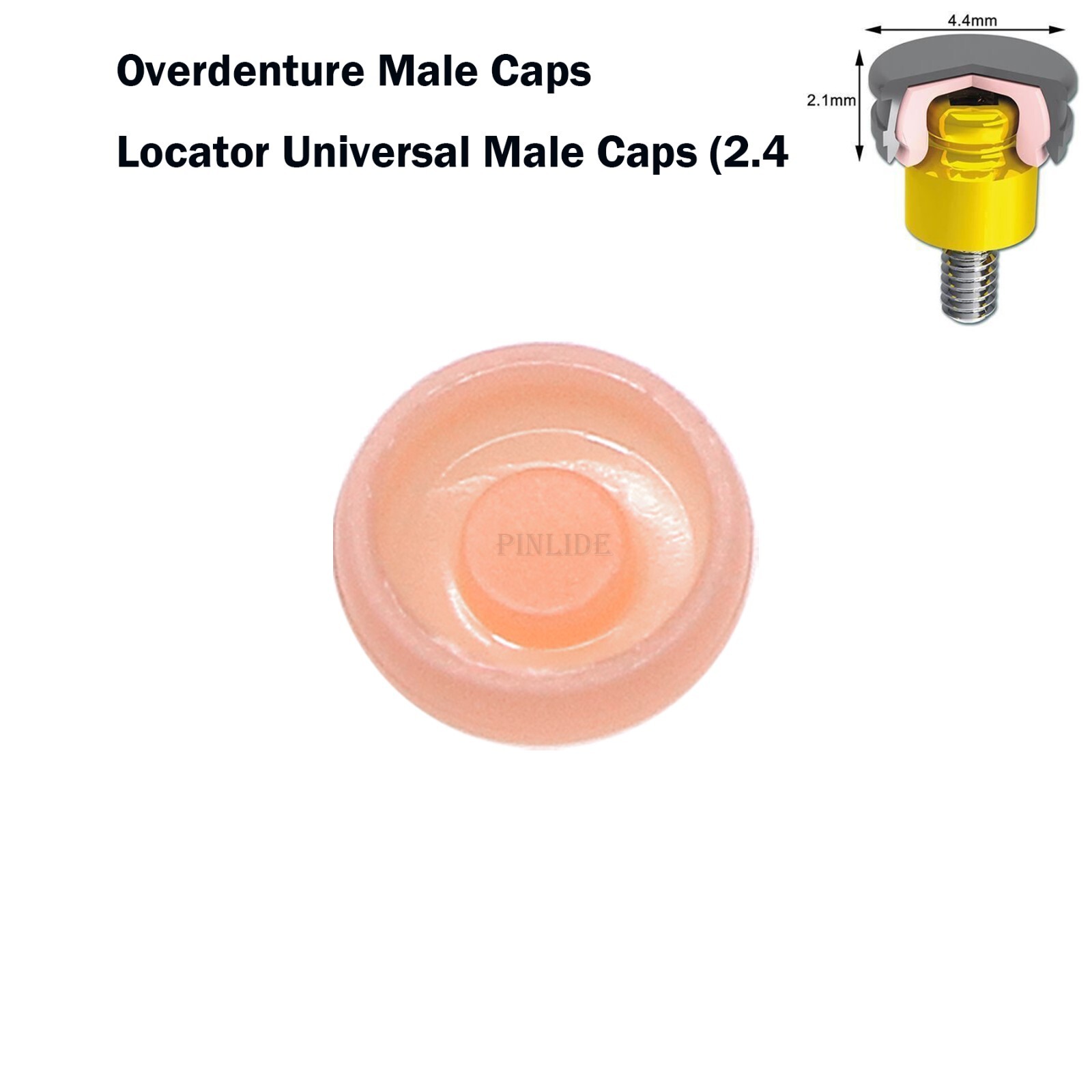 US Universal Dental Retention Male Caps 0.8lb 1.2lb 2.4lb Metal Housing