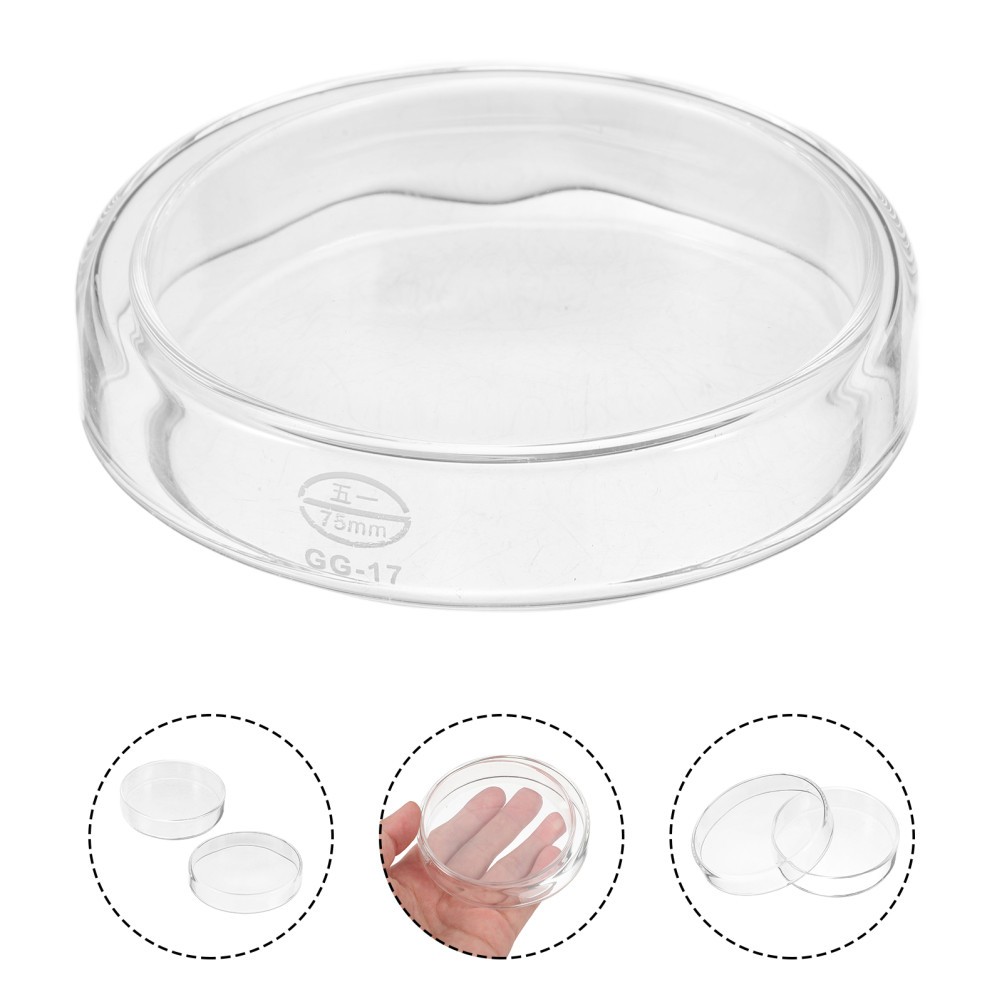 1 Set Durable Transparent Glass Petri Dishes for Scientific Culture Applications