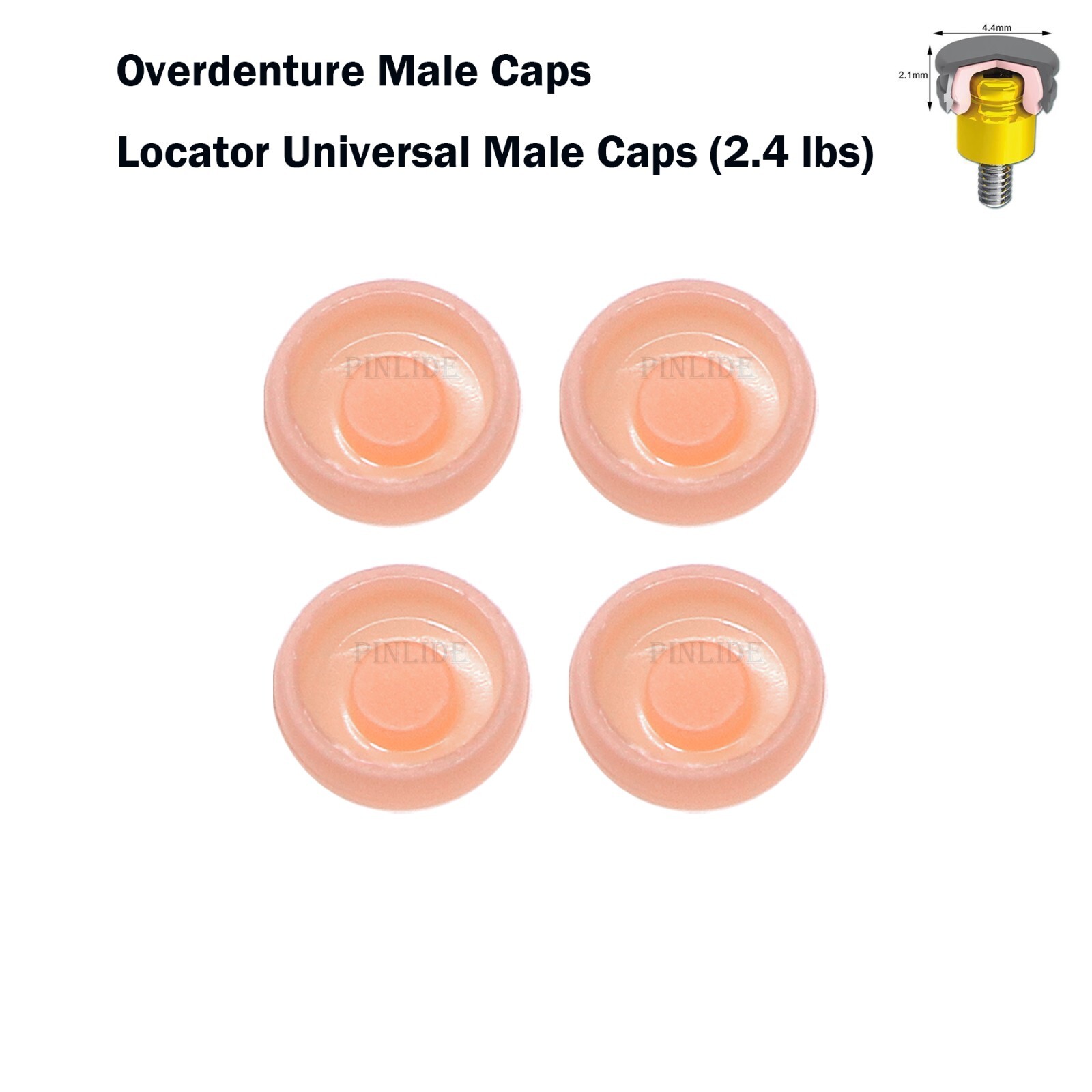 US Universal Dental Retention Male Caps 0.8lb 1.2lb 2.4lb Metal Housing