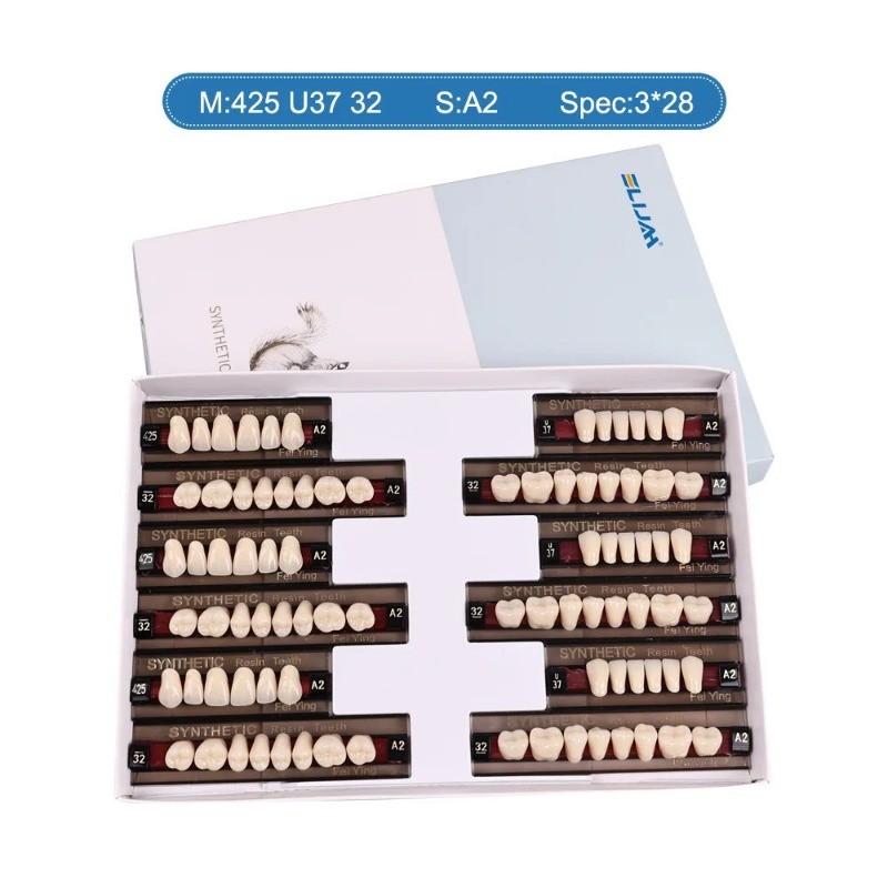 Dental Acrylic Resin Denture Teeth Upper Lower Full Set Shade Anterior Posterior
