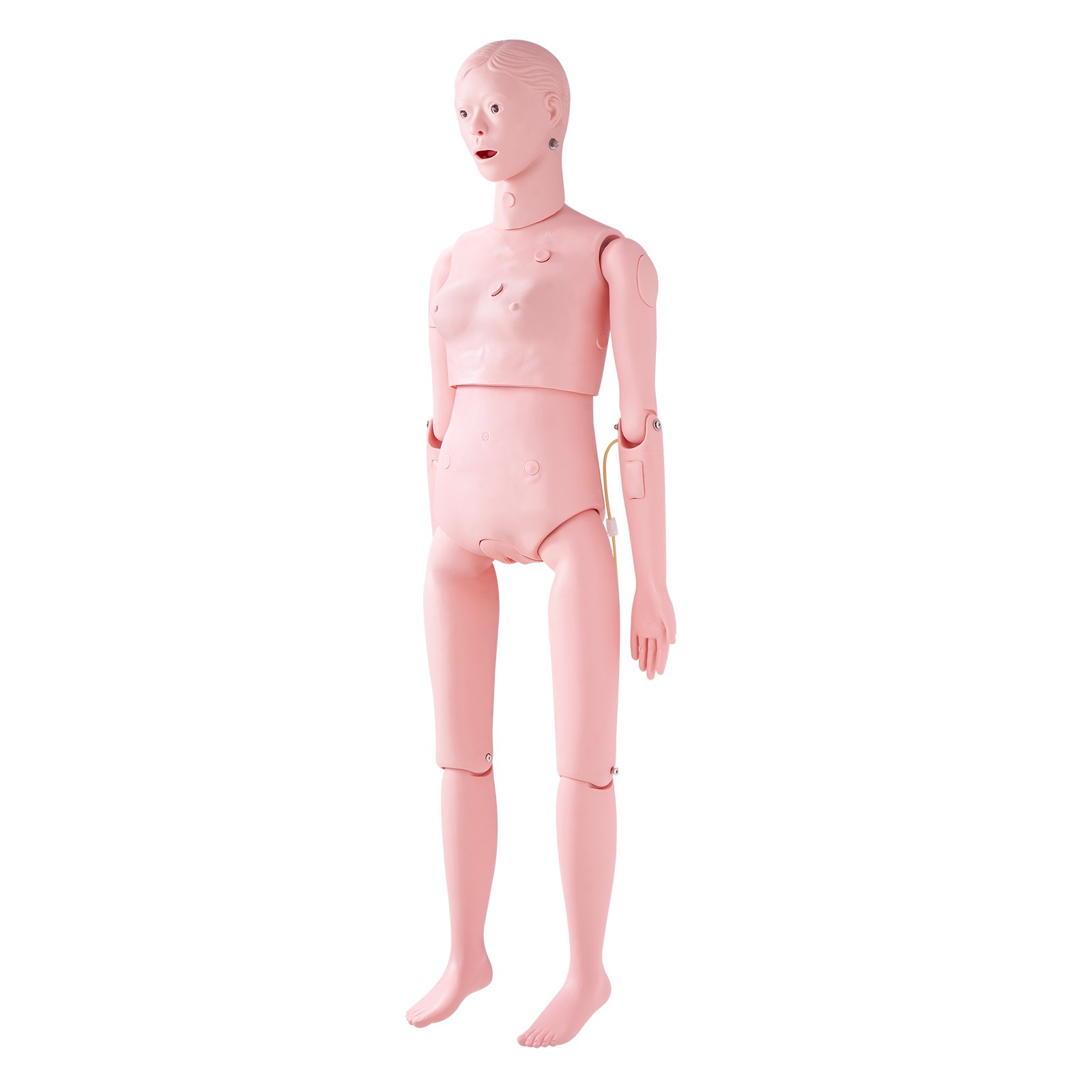 VEVOR Female Manikin Model Anatomical Nursing Training Patient Care Practice