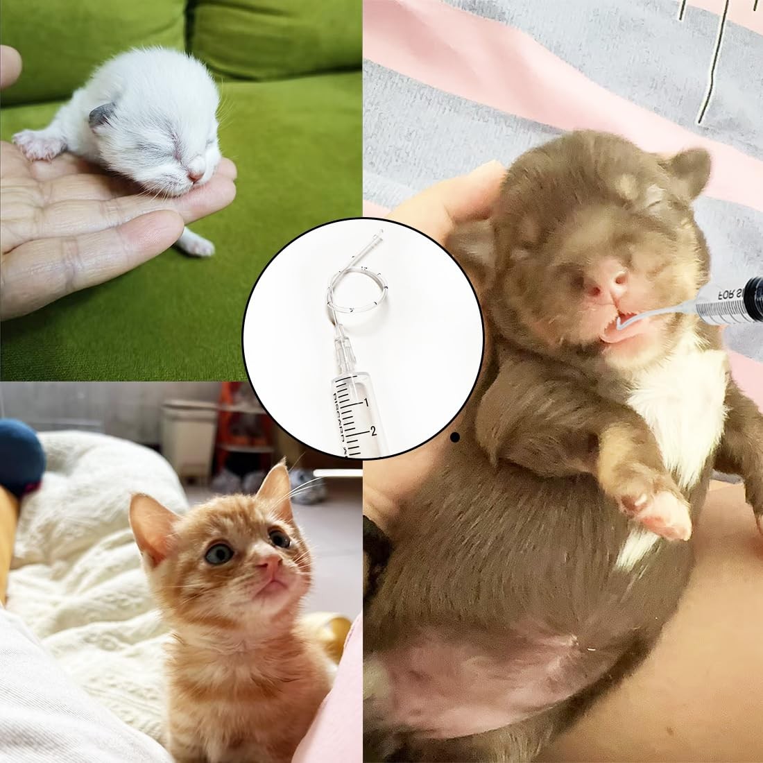Yiqianhome 11pcs Puppy Kitten Feeding Tube Kit for Small Animals and clear