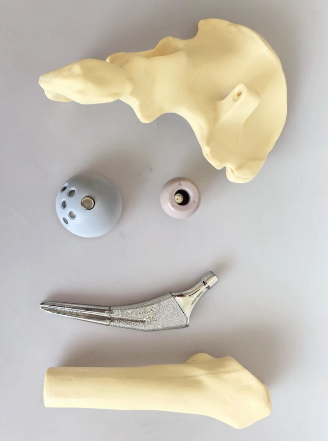 Artificial Shoulder Replacement Anatomical Model Knee Shoulder Elbow Joint Model