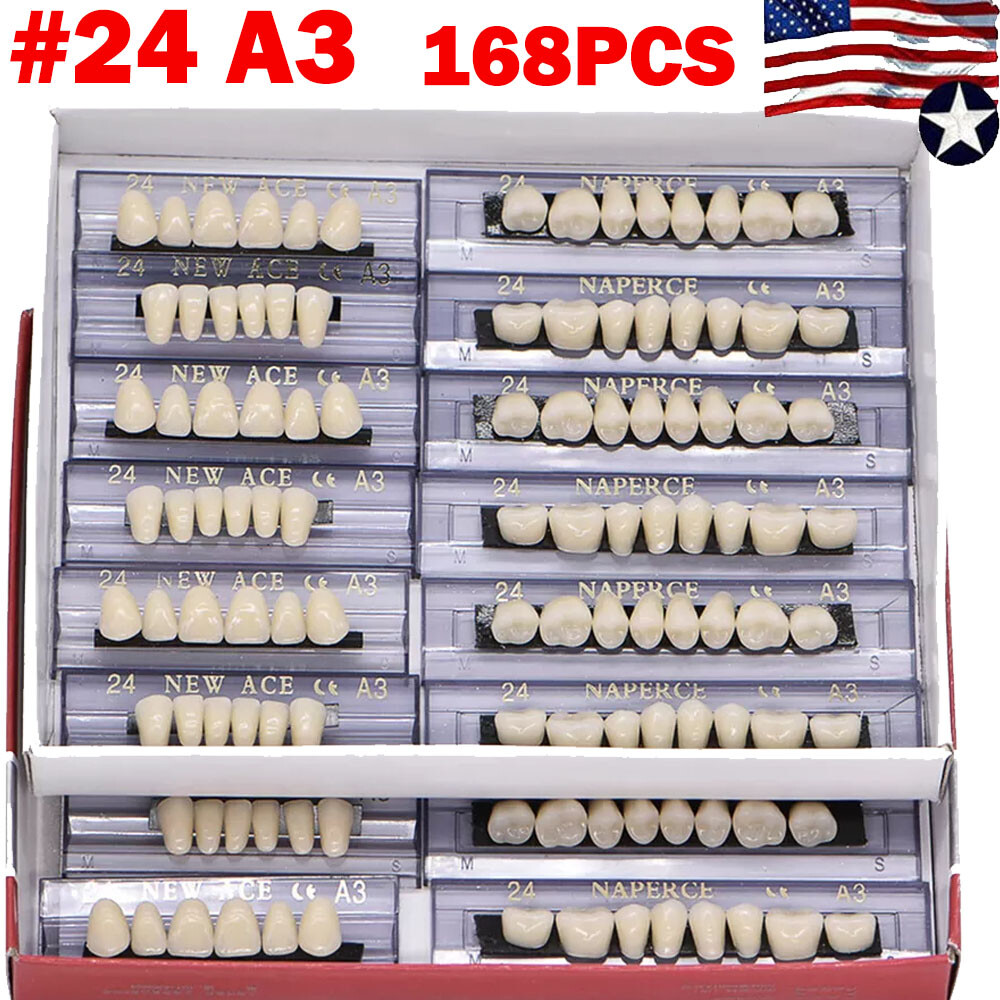 168Pcs Dental Acrylic Resin Denture A3#24 Shade Full Upper Lower False Teeth HOT