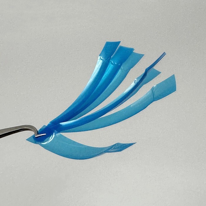 Dental Contoured Anterior Matrix Bands Polyester Blue Strip Restoration Matrices