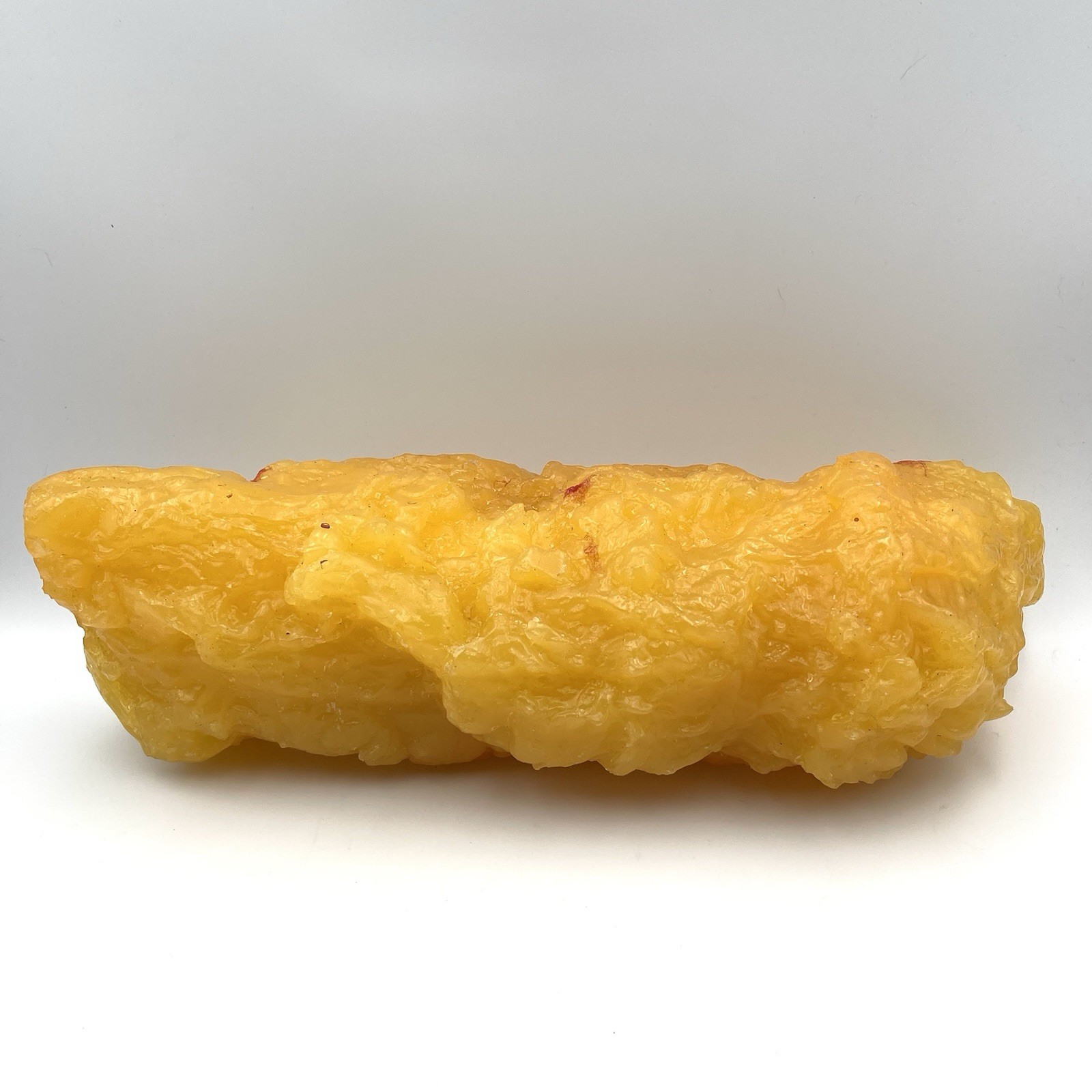 5 LB Human Body Fat Replica Model for Education Anatomy Weight Loss Fatty Tissue