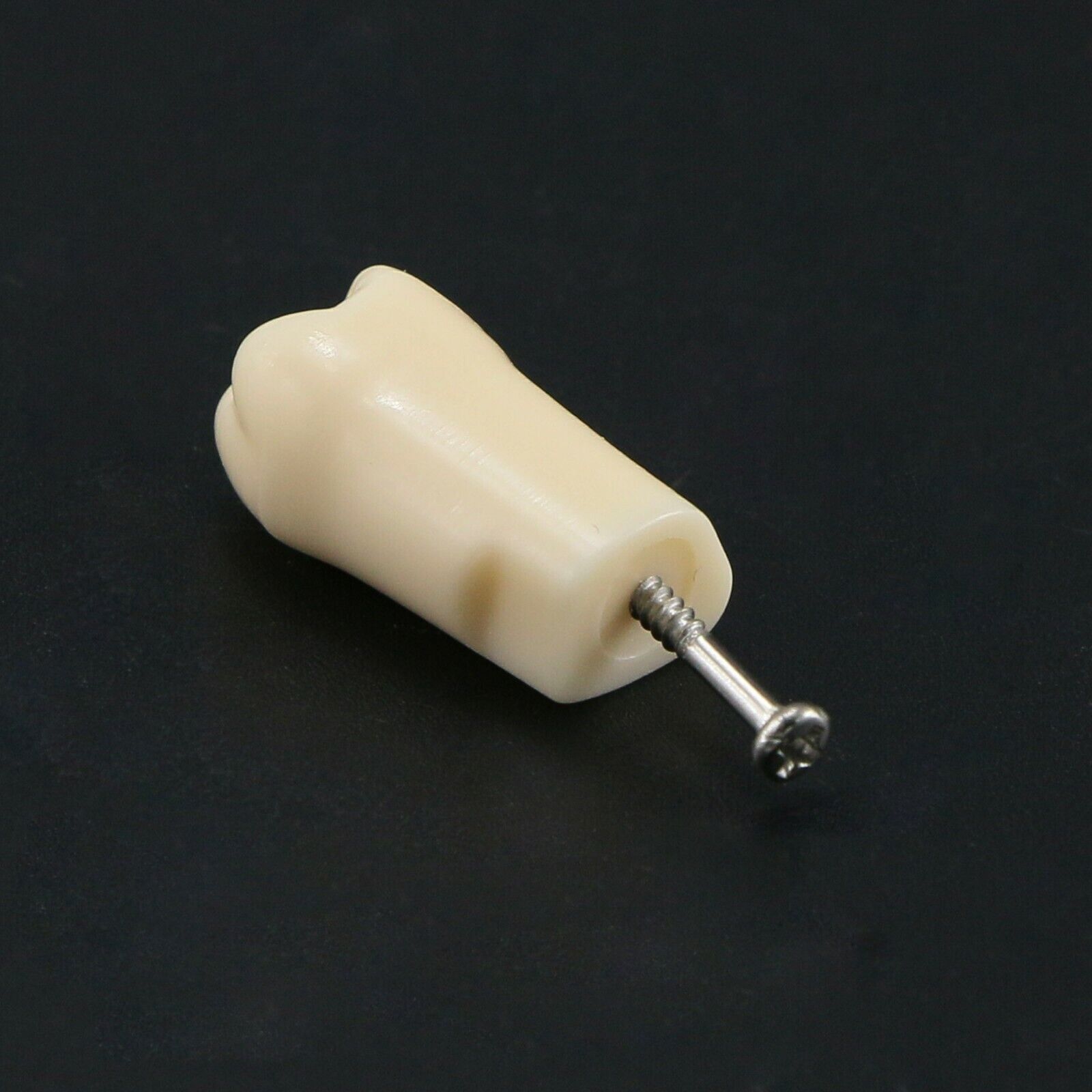 Dental Typodont 28/32Pcs Model Removable Teeth fit Kilgore NISSIN 200/500 Type