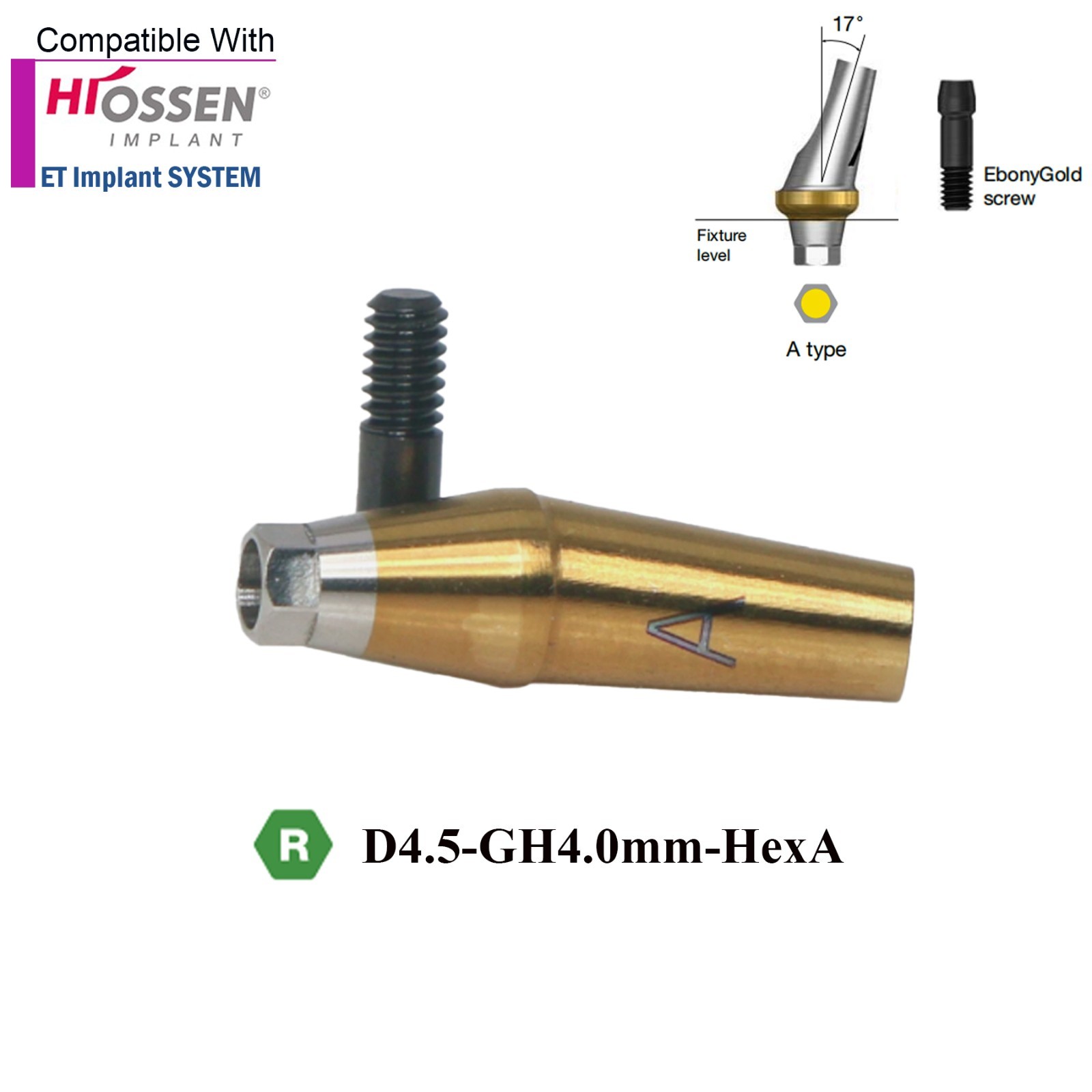 US Dental 17° Angled Anatomic Abutment Mini /Regular Fits Hiossen Osstem TS
