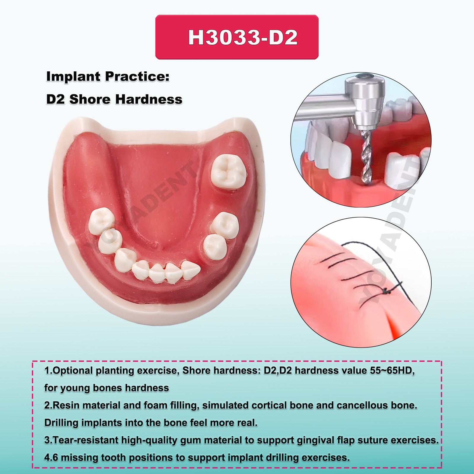 US Dental Teeth Model Implant Periodontal Disease Suture Drilling Training Demo