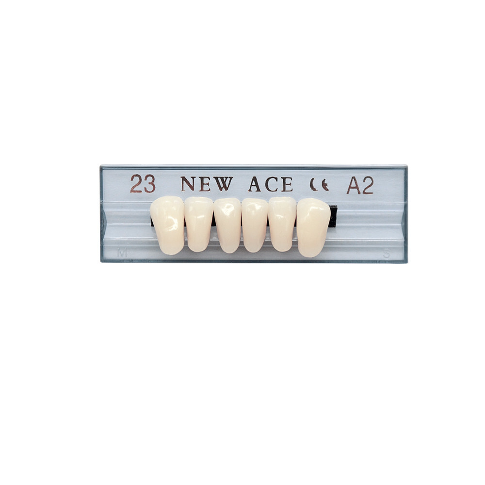 168Pcs/Box Acrylic Resin Denture #23 Dental Upper Lower Shade A2 Teeth Set US