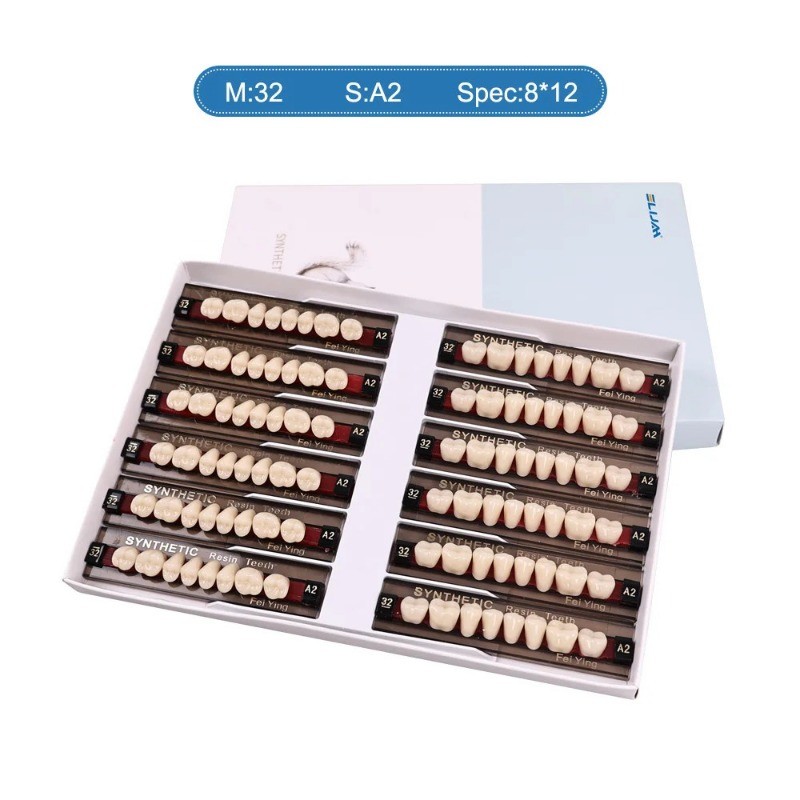 Dental Acrylic Resin Denture Teeth Upper Lower Full Set Shade Anterior Posterior