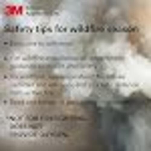 3M Personal Protective Equipment Particulate Respirator 8210, Pack of 160, N95