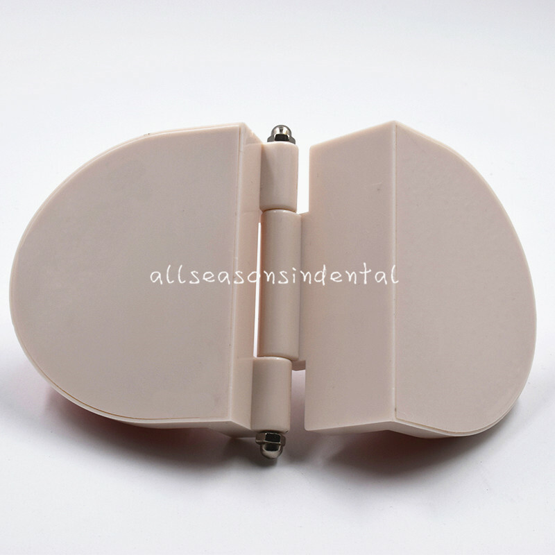 Dental Orthodontic Adult Standard Teeth Hoop Model Metal Brackets Ligature Tie