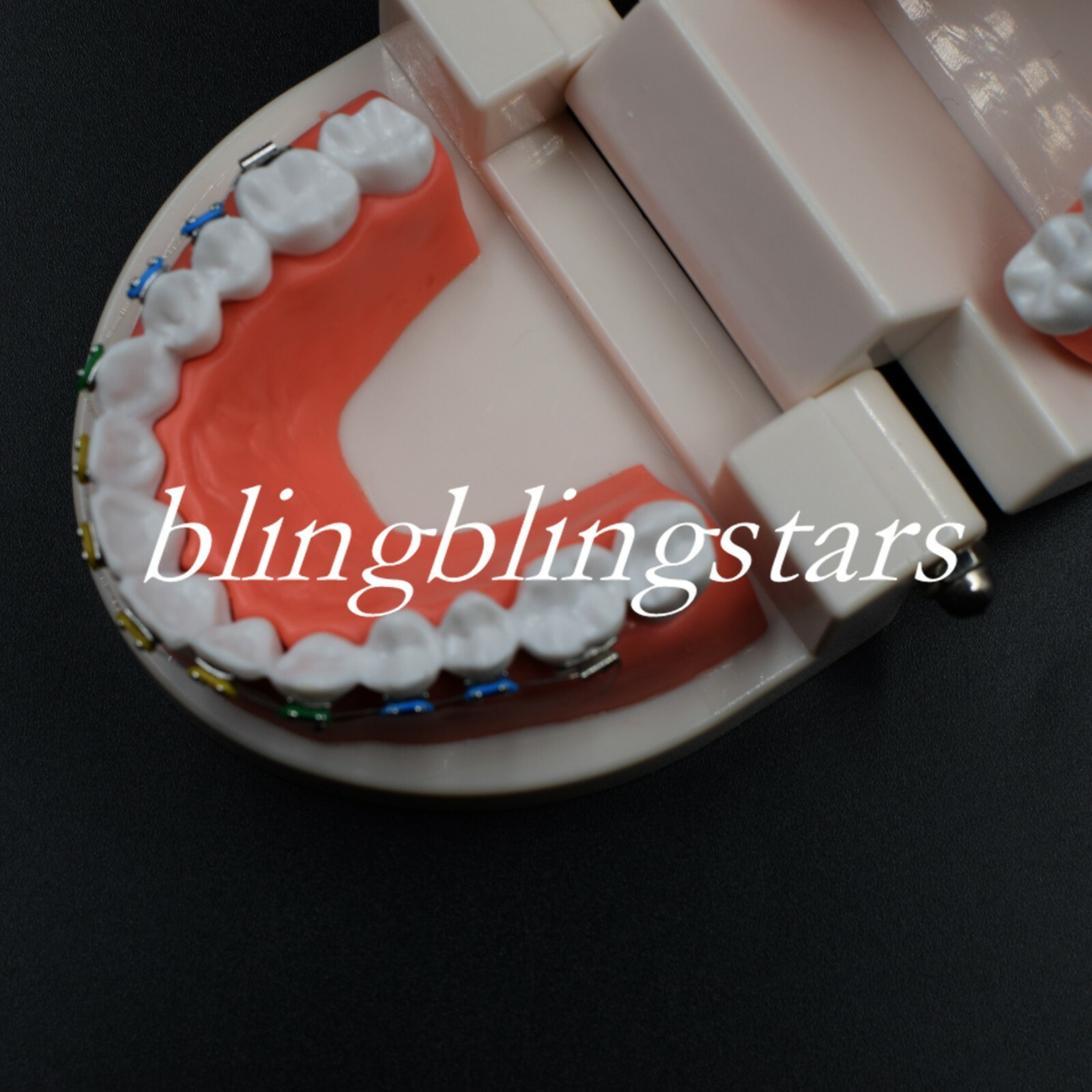 Dental Orthodontics Standard Tooth Model Bracket Ligature Buccal Tube Ties
