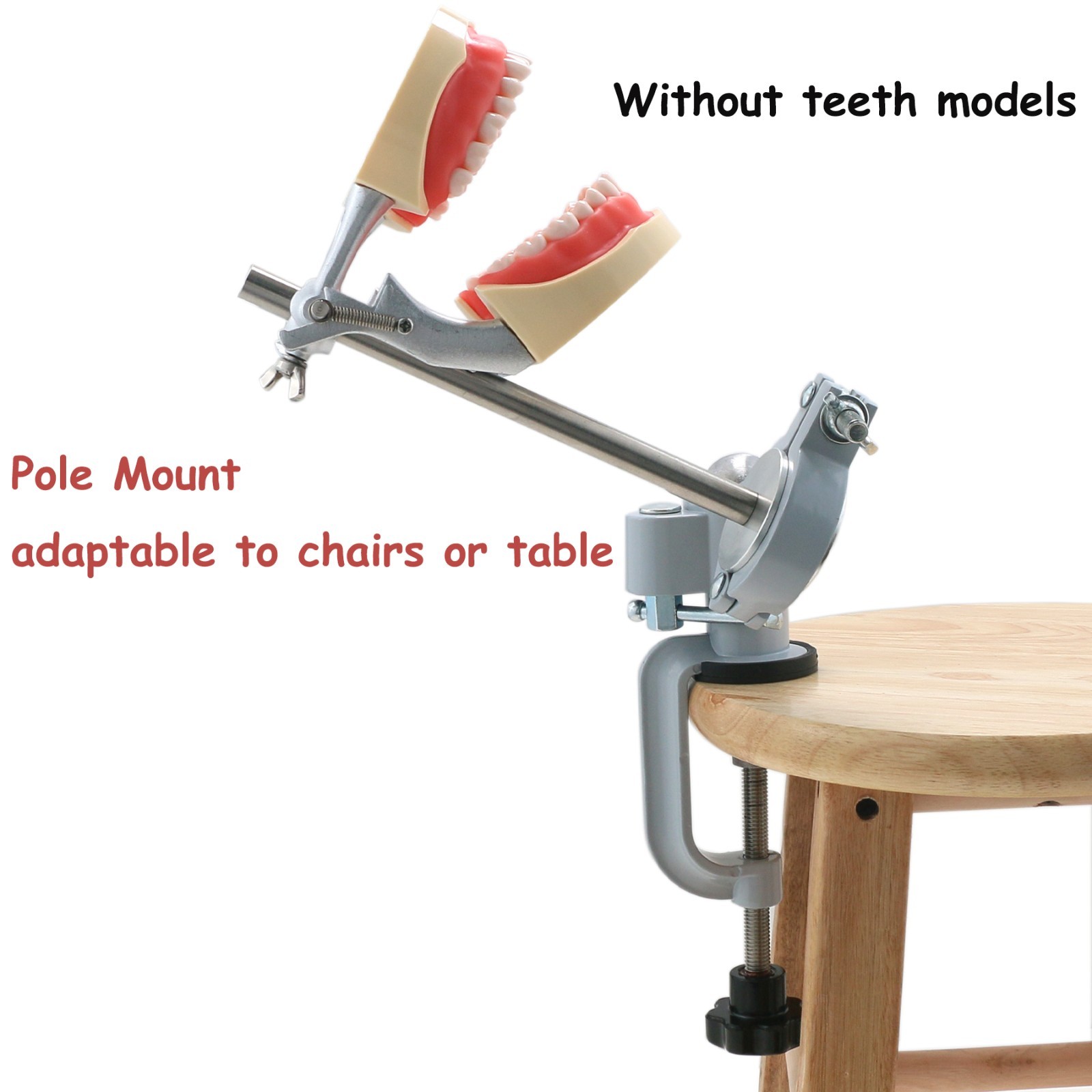US Dental Typodont Model Mounting Pole Compatible with Columbia/Kilgore/Nissin