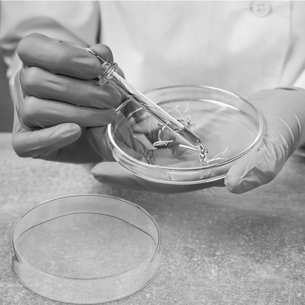 1 Set Reusable Glass Petri Dishes for Laboratory Culture with Clear Visibility
