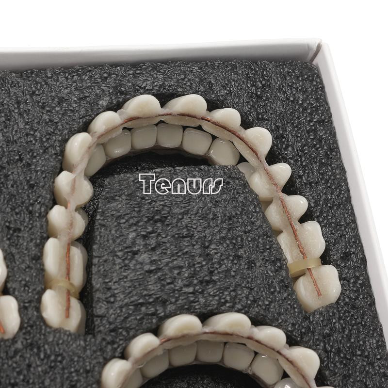 10sets Resin Teeth 23 #A2 Denture Manufactured Artificial Preformed Dentition