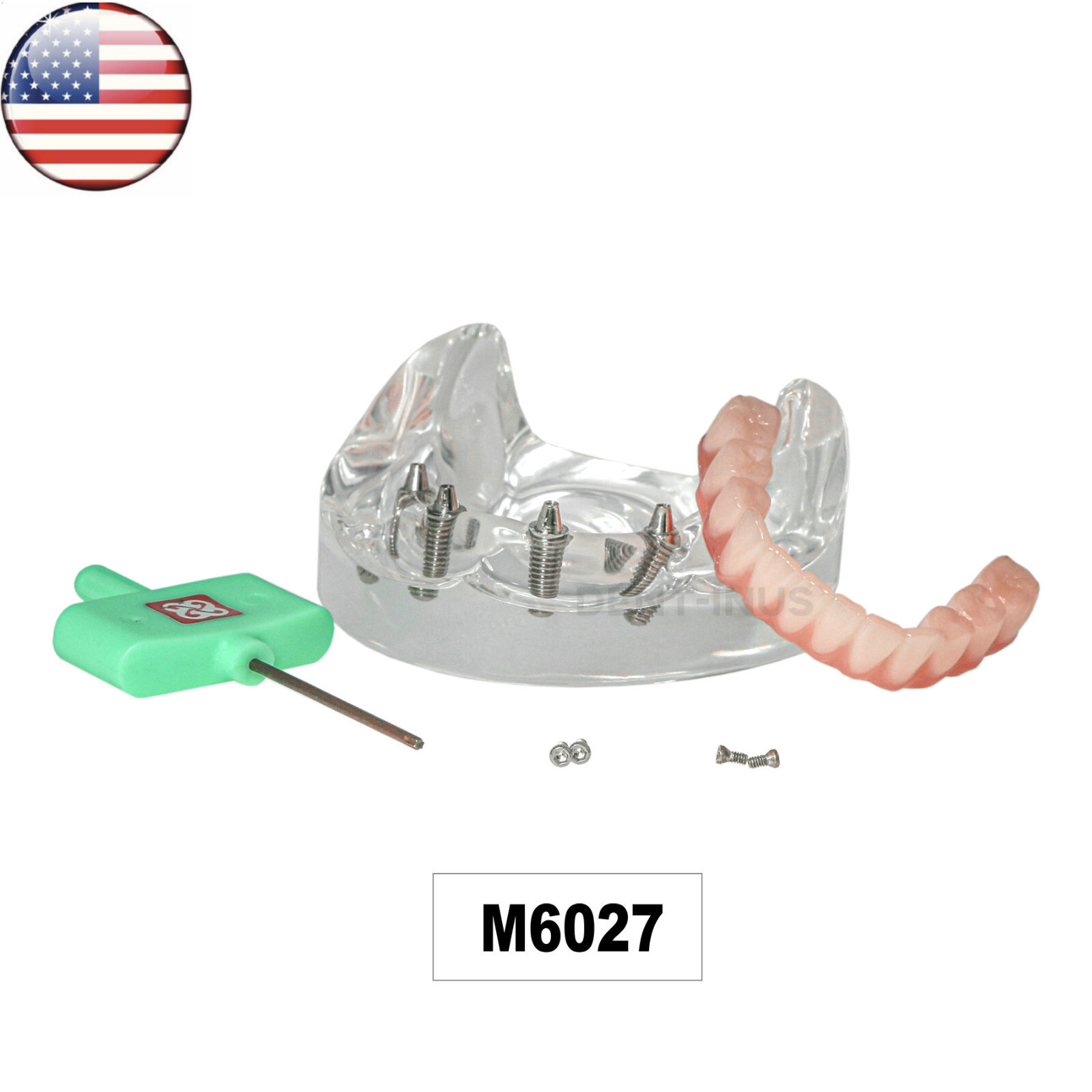 US Dental Overdenture All-on-4 Model Upper/Lower Jaw-Clear Implant With 4 Screws
