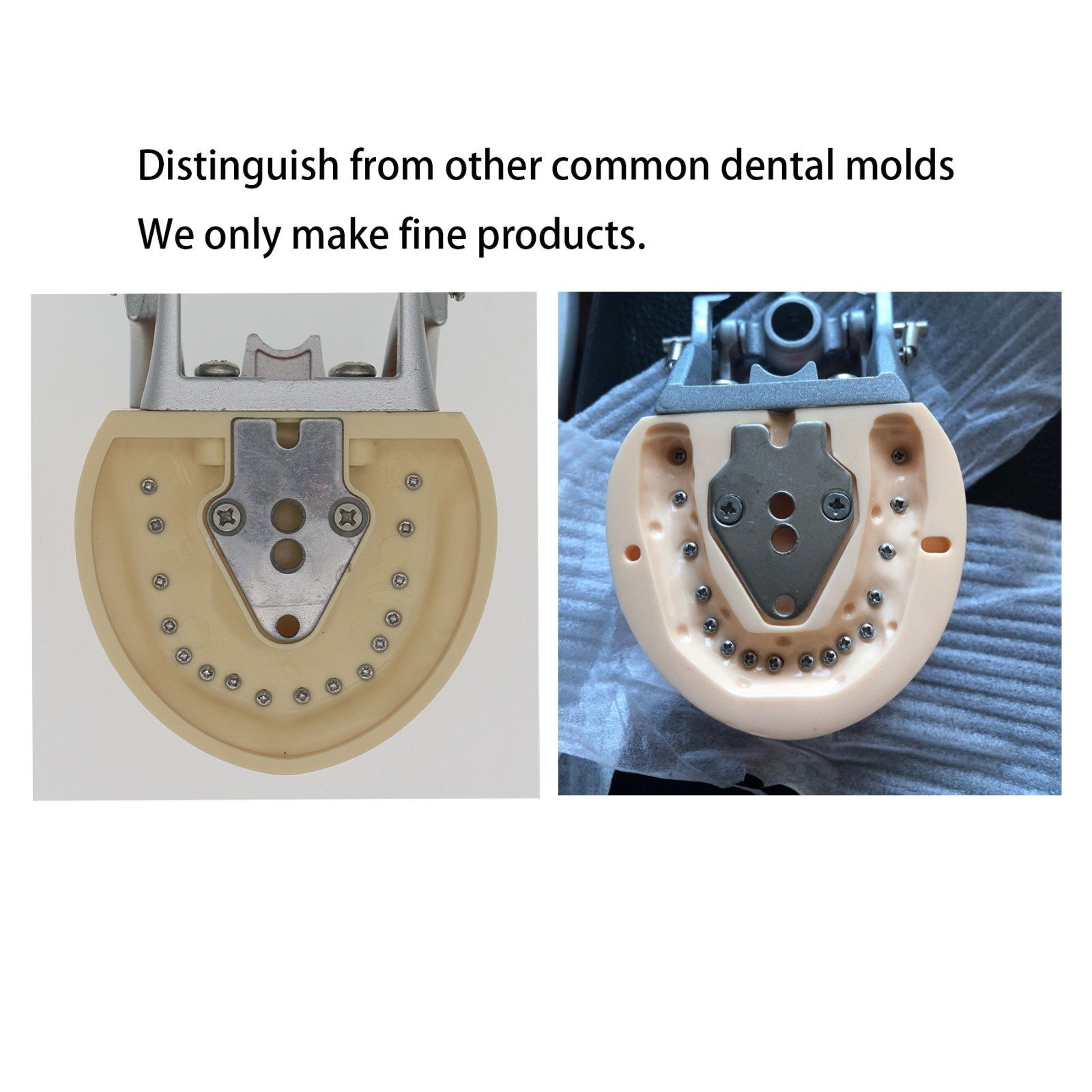 US Dental Kilgore NISSIN Type 28/32Pcs Teeth Typodont Model With Removable Teeth