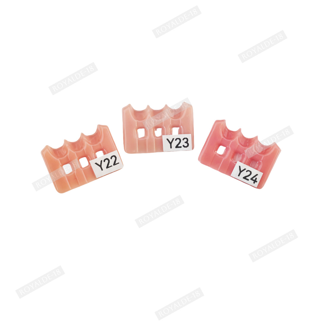 Gum Shade Gingiva Color Plate Indicator Tri-Color Gummy Model Similar SHOFU GC