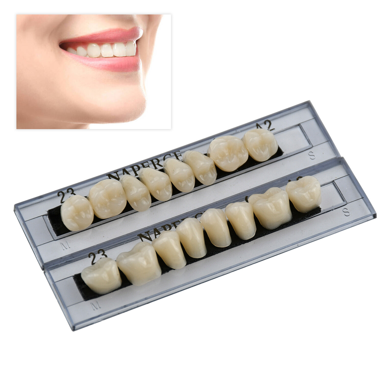 168Pcs/Box Acrylic Resin Denture #23 Dental Upper Lower Shade A2 Teeth Set US